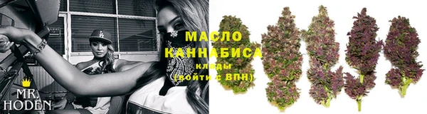 прущие грибы Дмитров