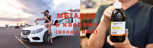 прущие грибы Дмитров