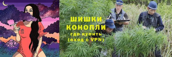 твердый Дмитриев