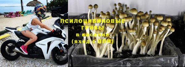 ПСИЛОЦИБИНОВЫЕ ГРИБЫ Киреевск