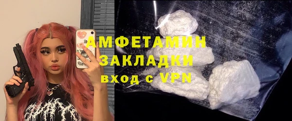 прущие грибы Дмитров