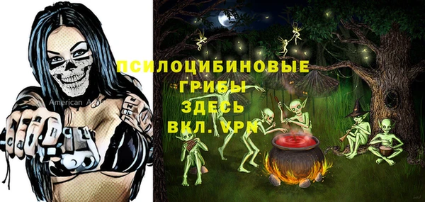 шишки Карталы