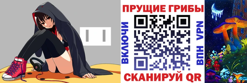 Псилоцибиновые грибы Psilocybe  Избербаш 