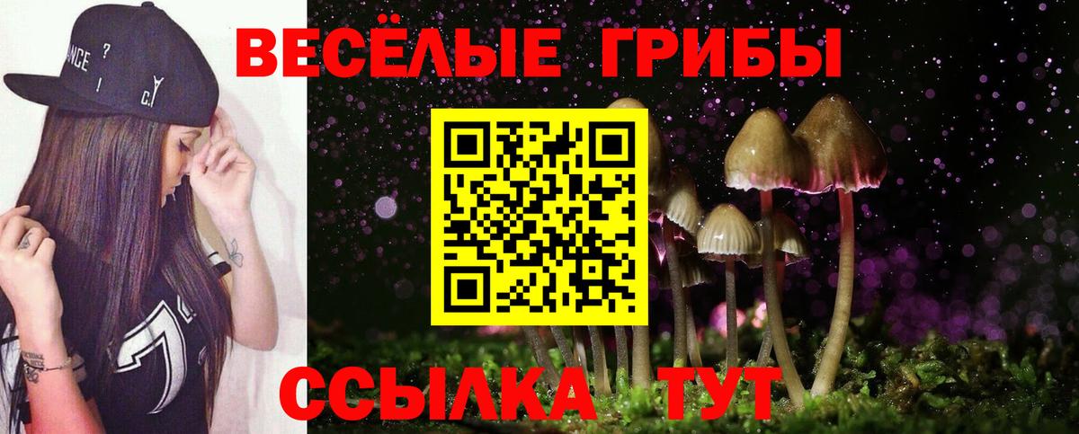 Псилоцибиновые грибы Psilocybe Избербаш
