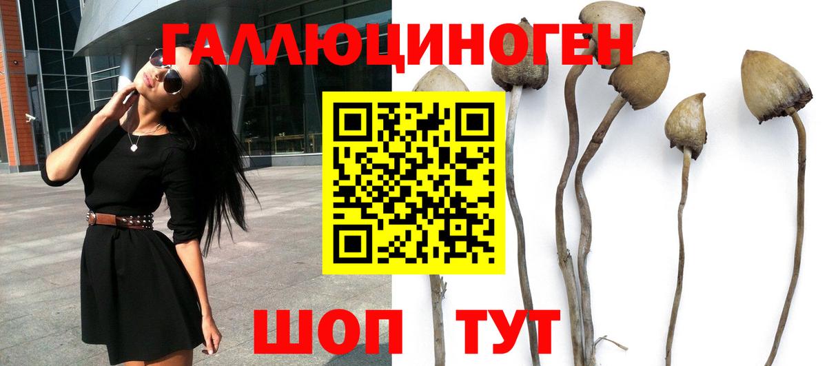 Галлюциногенные грибы мицелий  Вход с VPN  Избербаш 